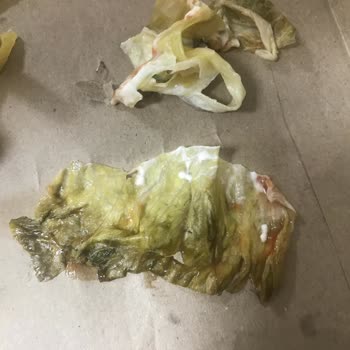 Osmaniye 328 AVM Burger King Şubesinde Bayat Ve Bozuk Ürün Şikayeti