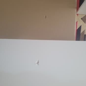 Göçük TV Sehpasındaki Cevapsız Değişim Talebi