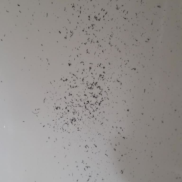 Braun 9 Pro+ Tıraş Makinesinde Kıl Toplanmama Sorunu Ve İade Talebi