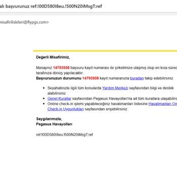 Pegasus’ta Saat Değişikliği Nedeniyle Bağlantı Kopması Ve Mağduriyet