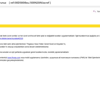 Pegasus’ta Saat Değişikliği Nedeniyle Bağlantı Kopması Ve Mağduriyet
