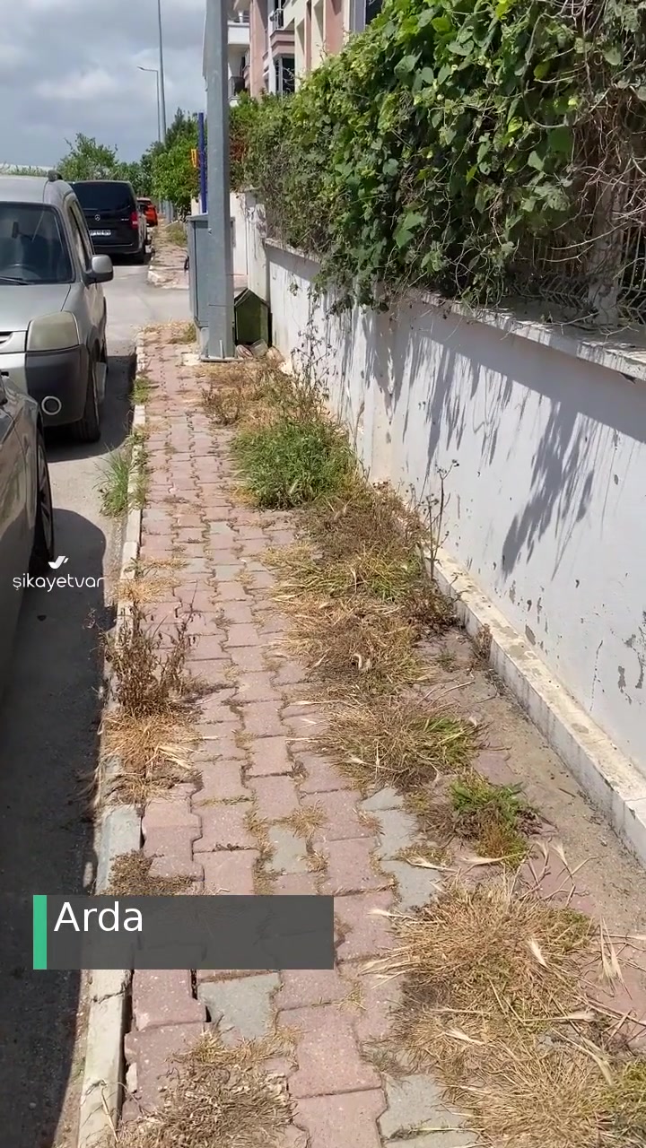 Antalya Büyükşehir Belediyesi Kaldırım Temizliği Yapılmaması Ve Sokak Tabelasının Yenilenmemesi videonun kapak resmi