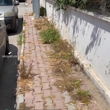 Antalya Büyükşehir Belediyesi Kaldırım Temizliği Yapılmaması Ve Sokak Tabelasının Yenilenmemesi
