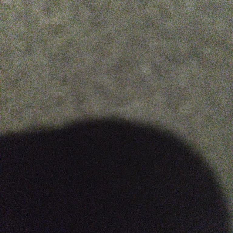 Çocukların Sağlık Sigortası Otomatik İptali Ve Ödenen Primlerin İadesi