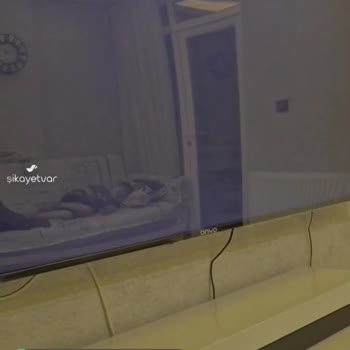 Onvo 165 İnç TV Ekran Gitmesi
