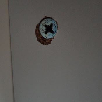 Just Home TV Ünitesindeki Kalitesiz Sunta Ve Kırılan Vidalar Nedeniyle İade Talebi