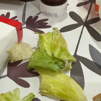 Burger King Siparişinde Soğuk Ve Bayat Ürünler, Tam İade Talebi