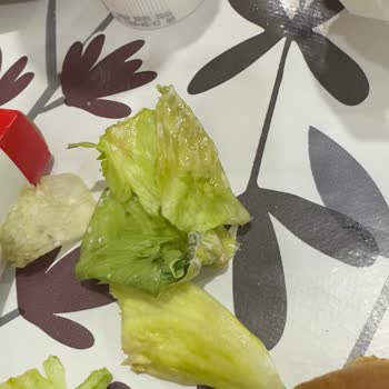 Burger King Siparişinde Soğuk Ve Bayat Ürünler, Tam İade Talebi