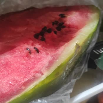 Profilo Buzdolabının Tekrarlayan Donma Sorunu Ve 15.000 TL Kayıp