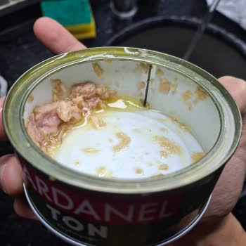 Dardanel Zeytinyağlı Ton Balığında Kan Benzeri Kırmızı Lekeler