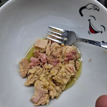 Dardanel Zeytinyağlı Ton Balığında Kan Benzeri Kırmızı Lekeler