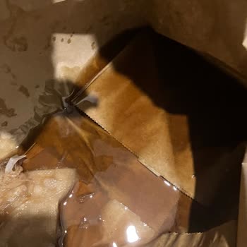 McDonald's Siparişinde Kola Dökülmesi Ve Ürün Hataları