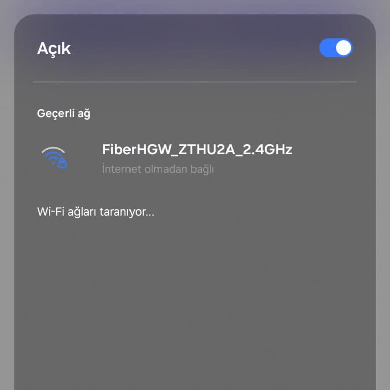 Vodafone Ev İnternetinde Kesinti Ve Tobi Engeli Nedeniyle İş Kaybı Ve Telafi Talebi