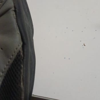 Ayakkabıda Açılma Sorunu Ve İade Talebi