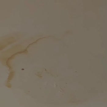 Su Sızıntısı Ve Elektrik Tehlikesi Nedeniyle Depozito İadesi Talebi