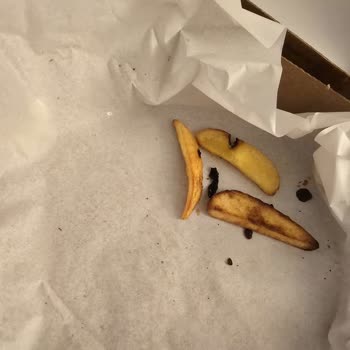 Pizza İçinde Keskin Plastik Parçası: Sağlık Riski