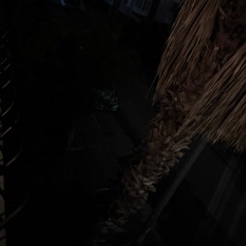 Liman Mahallesi'nde 52 Gün Süren Karanlıkta Aydınlatma Arızası