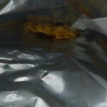 I Face Ruffles Chips Contamination After Finding Insect in Package