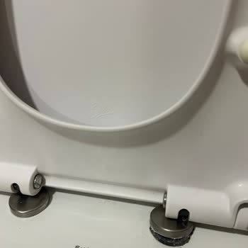 Harmony Model Klozet Kapağı Menteşe Parçası Talebi