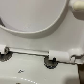 Harmony Model Klozet Kapağı Menteşe Parçası Talebi