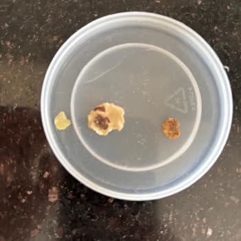 Eti Lifalif Sade Yulaf Ezmesinde Bebek İçin Yabancı Madde Ve Sağlık Riski