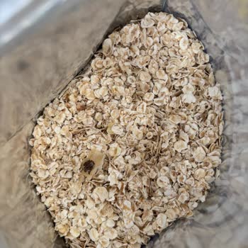 Eti Lifalif Sade Yulaf Ezmesinde Bebek İçin Yabancı Madde Ve Sağlık Riski