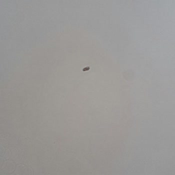 İstikbal Merlin Mutfak Masasında Erken Soyulma Ve İlgisiz Müşteri Hizmetleri