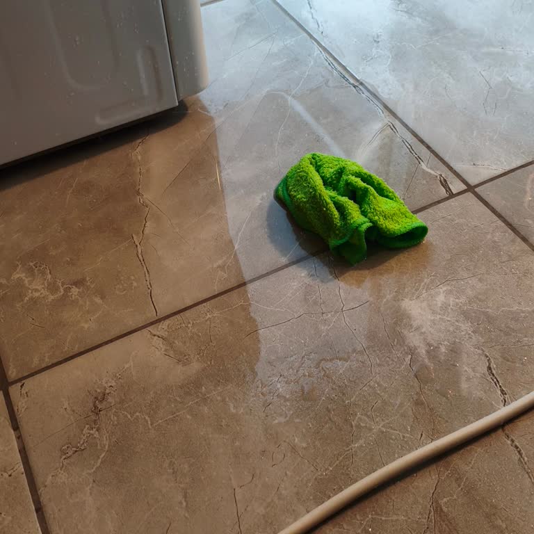 LG Kurutma Makinesinde Su Sızıntısı, Garanti Dışı Servis Ücreti İtirazı