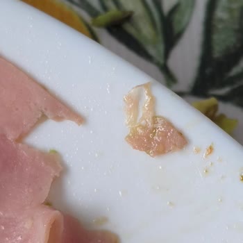 Pınar Gurme Hindi Fümede Hayvan Tüyü Çıktı: Gıda Güvenliği İhlali