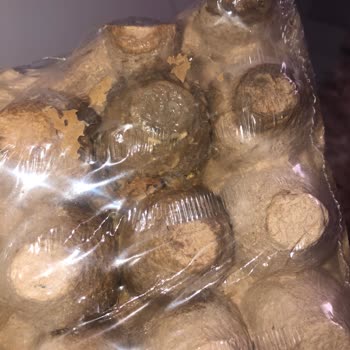 A101 Kurtlu Yumurta Satışı Ve Çalışanın Küçümseyen Yaklaşımı