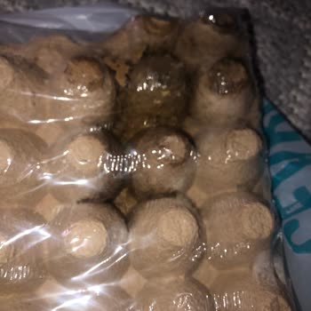 A101 Kurtlu Yumurta Satışı Ve Çalışanın Küçümseyen Yaklaşımı