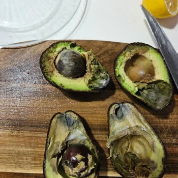 Şok Markette Bozuk Avokado Satışı Ve İade Talebi