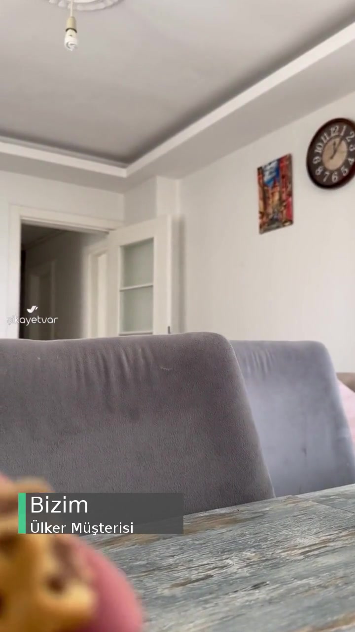Ülker Probis'ten Beyaz Saç Çıktı videonun kapak resmi