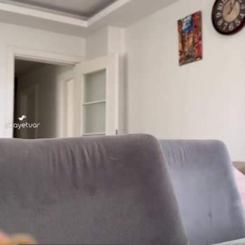 Ülker Probis'ten Beyaz Saç Çıktı
