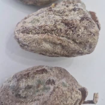 Egenin Bereketi Küflü Hurma, İade Reddi ve Fatura Kesilmemesi