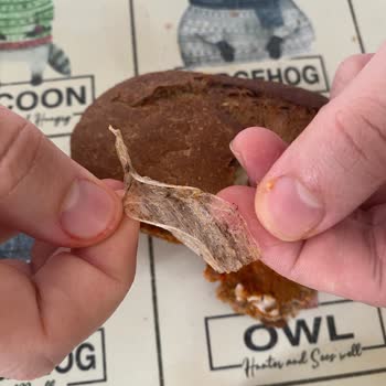 File Market Baget Ekmeğinde Siyah Yabancı Madde Çıktı: Sağlık Endişesi Ve İade Talebi