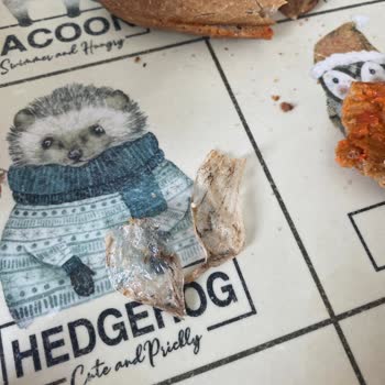 File Market Baget Ekmeğinde Siyah Yabancı Madde Çıktı: Sağlık Endişesi Ve İade Talebi