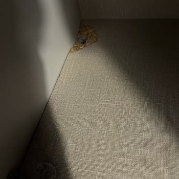 Kelebek Mobilya'dan Garanti Süresi İçinde Çöken Dolap Rafları İçin Ücretsiz Parça Talebi