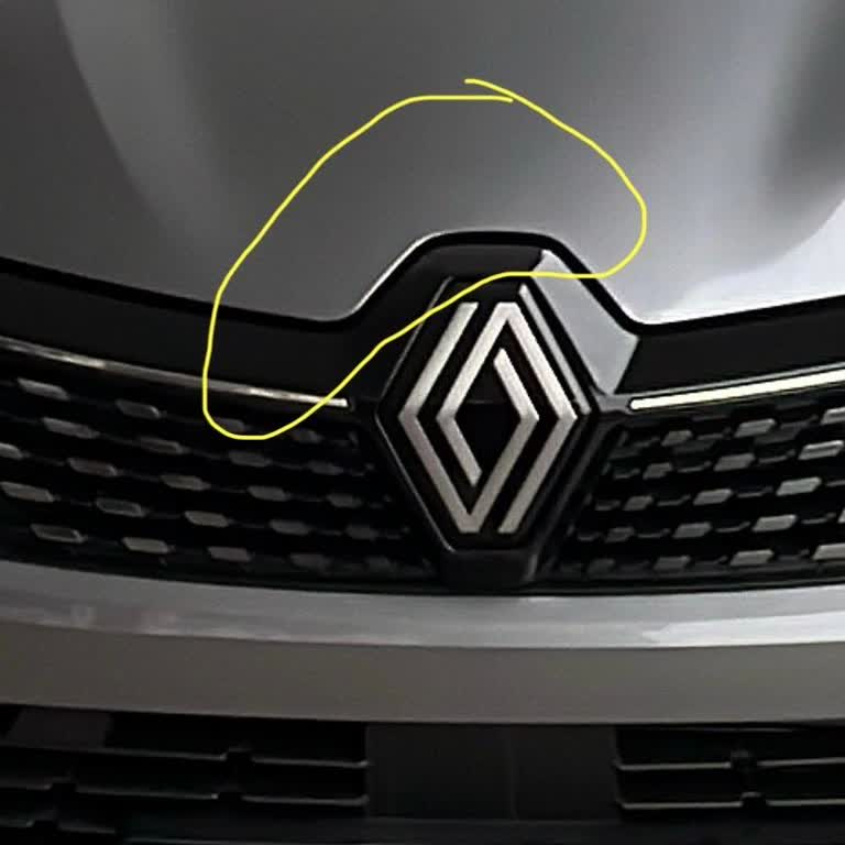 Yeni Renault Clio’da Boya Akıntısı Ve Kuş Yanığı Sorunu