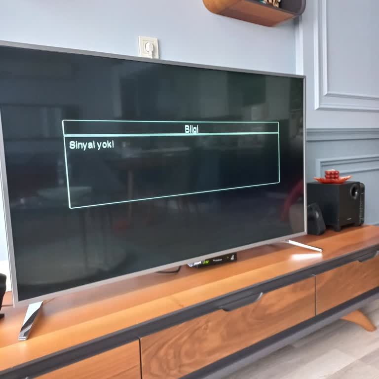 İstanbul Bahçelievlerde Sürekli İnternet Ve Kablo TV Kesintisi, Tam Ücret İadesi Talebi