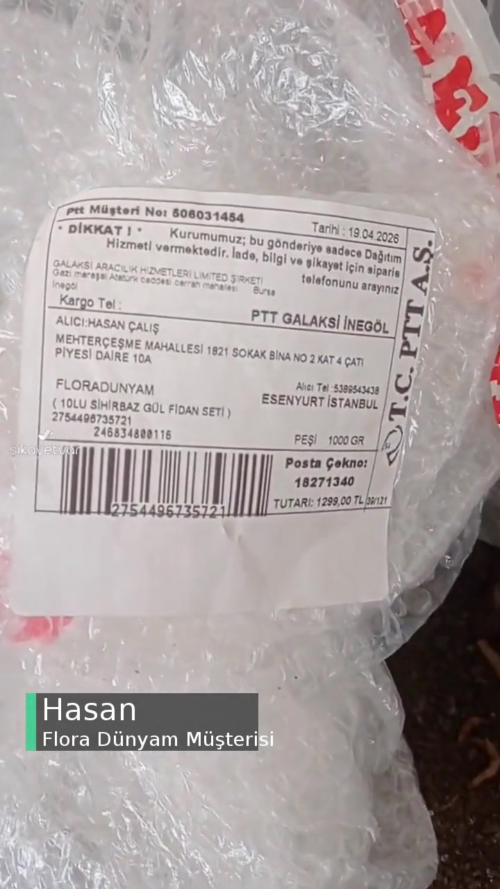 Flora Dünyam Gönderdiği Güllere Bakın! videonun kapak resmi