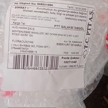 Flora Dünyam Gönderdiği Güllere Bakın!