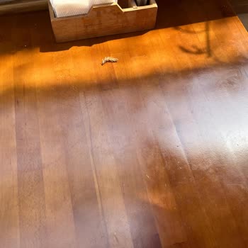 40 Dakikalık Bekleme, Hatalı Sipariş Ve Saygısız Personel