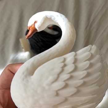 Almir Store’dan Aldığım Kuğu Şeklindeki Lamba Görselle Uyuşmuyor Ve Faturasız Gönderildi