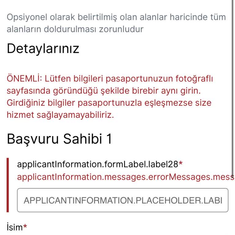 VFS Global'da Sistemsel Hata Nedeniyle Danimarka Vizesi Randevusu Alınamıyor