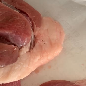 İnsan Kılı Dolu Kuzu Külbastı Ve Yetersiz Müşteri Desteği