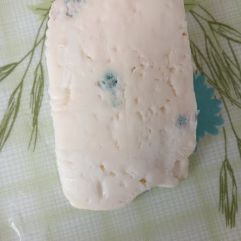 Küflenen Peynir Ve Fiş Olmadan Ürün Değişimi Reddedildi