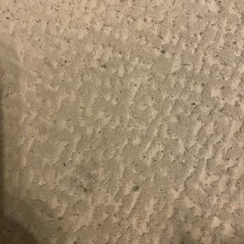 Vivense Köşe Koltuğunda Hızlı Tüylenme Ve Garanti Reddi