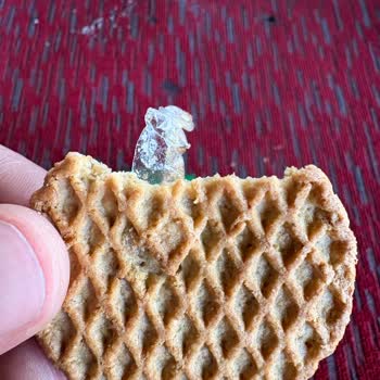 Eti Yulaflı Bisküvi İçinde Naylon Parçası Sağlık Ve Hijyen Endişesi