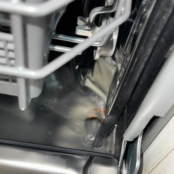 Yeni Bulaşık Makinesinde Pas Ve Servis Randevusu İptali